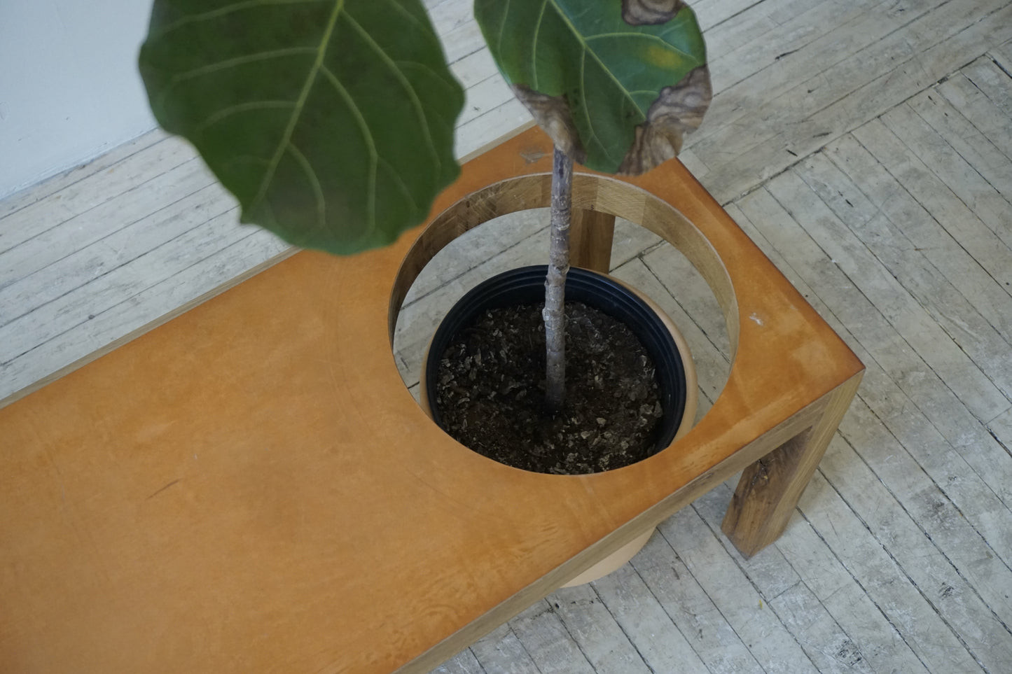 Oak Bench with Hole